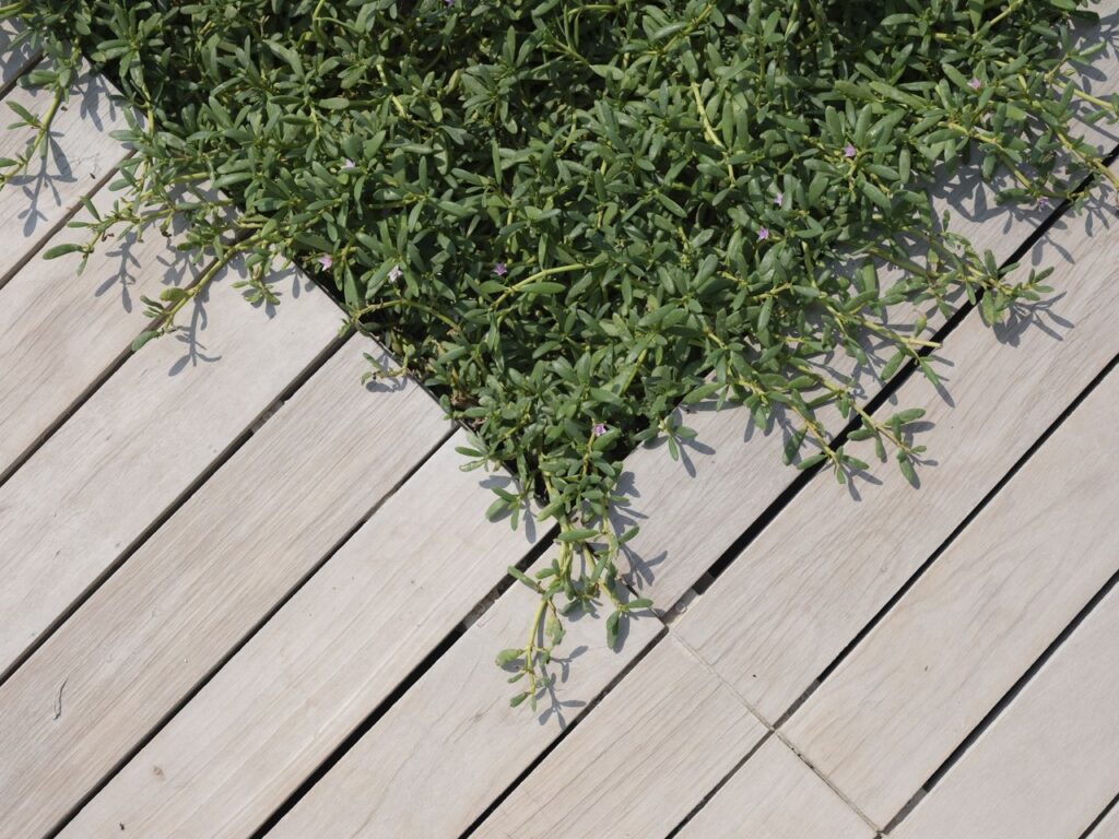 Terrasse lames composite